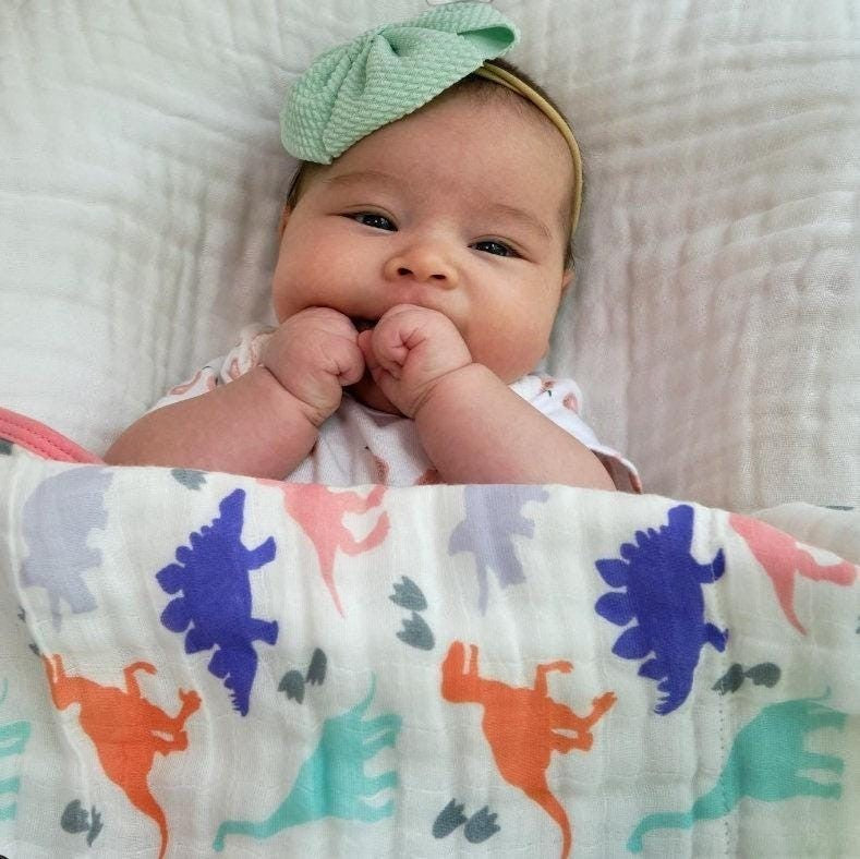 Precious Days Gifts Dinosaur Dreams large 120cm x 120cm 6-layer cotton muslin blanket with colorful dinosaur print.