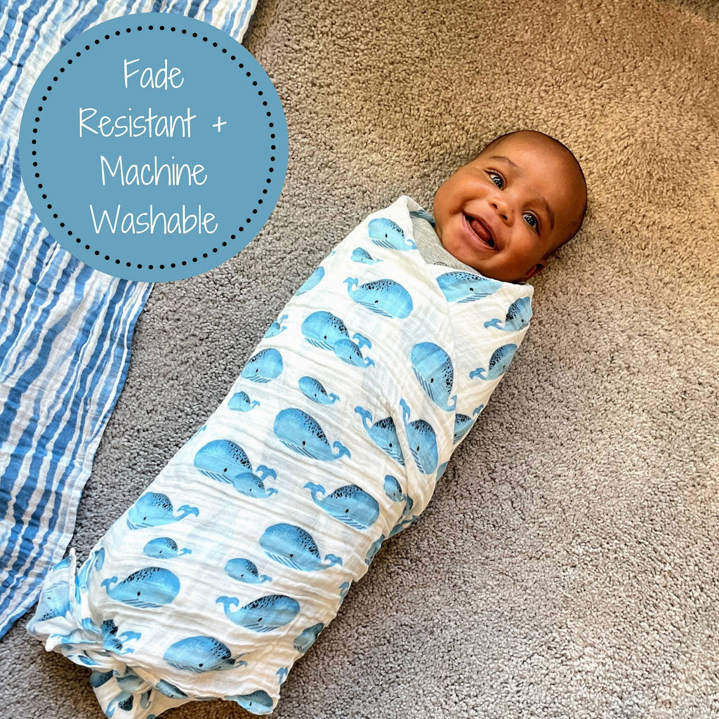 Precious Days Gifts baby swaddle blanket with blue whales on white cotton muslin. Baby is wrapped snugly.