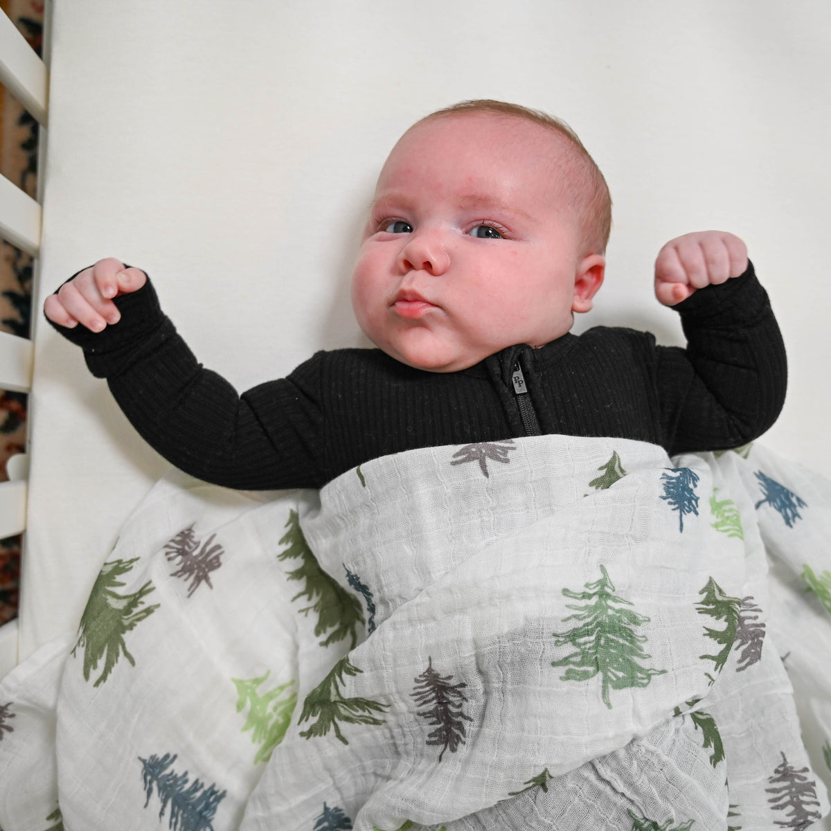 Baby Muslin Swaddle Blanket 120 x 120cm: Fir Tree Forest