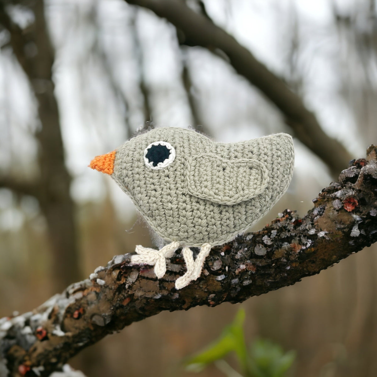Small New Baby Gift Box: Bird